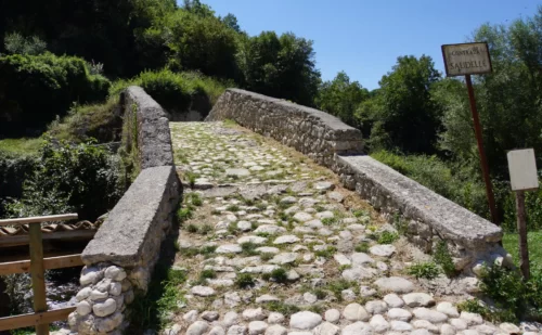 16125740649_54279416a9_o - Silvana Belli - Prata Sannita