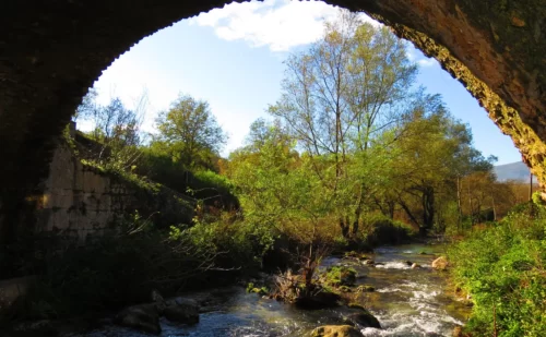 23051951704_aa33d7b851_o - Gianfranco Vitolo - Prata Sannita