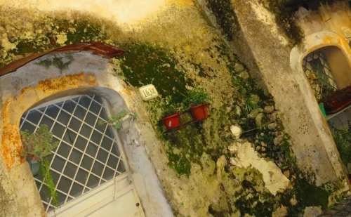 23312230659_f4a741ce0dgt3ry_o - Gianfranco Vitolo - Prata Sannita