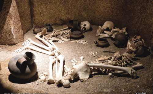 Paestum Cosa Vedere Ricostruzione Della Necropoli Del Gaudo Nel Museo, Reggia di Caserta Unofficial