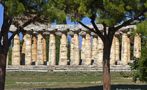 Paestum cosa vedere - tempio di atena vista laterale