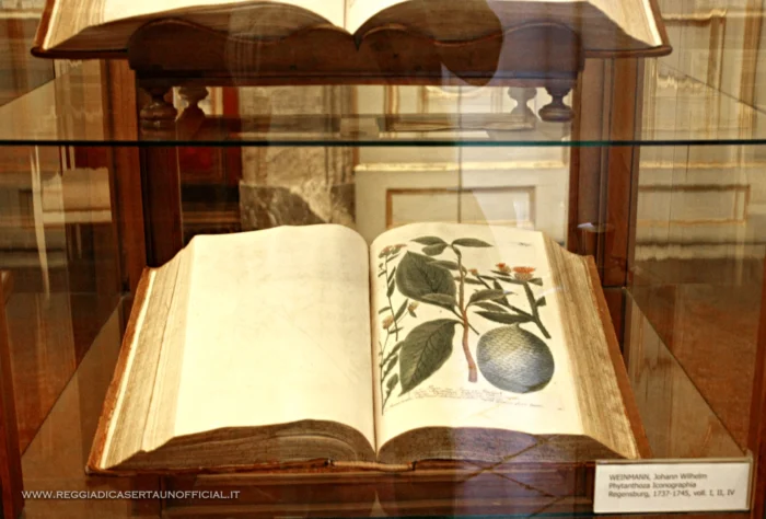 Reggia Di Caserta Seconda Sala Da Lettura Volume Antico, Royal Palace of Caserta Unofficial