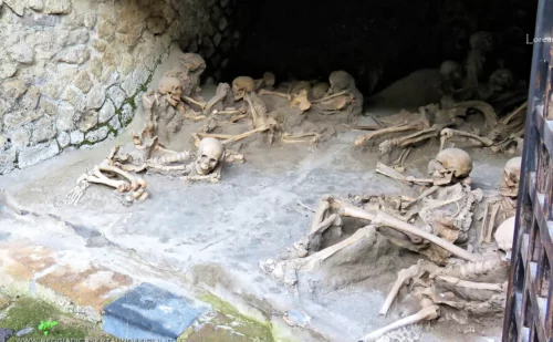 ercolano parco archeologico - scheletri delle vittime nelle fornici
