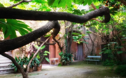 giardino - Palazzo Mondo a Capodrise Provincia di Caserta