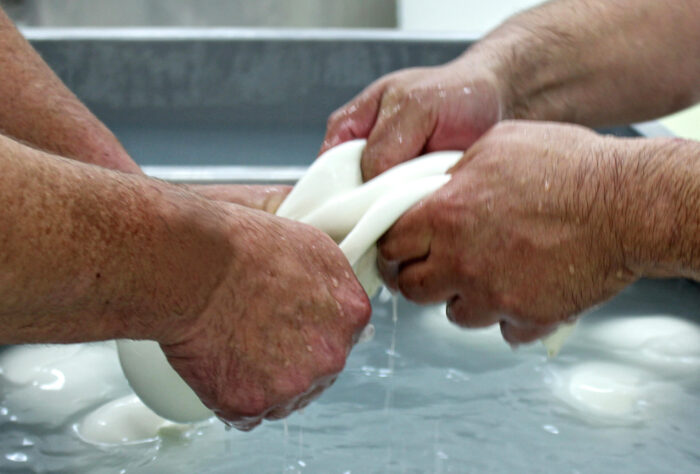 mozzarella di bufala - mozzare significato