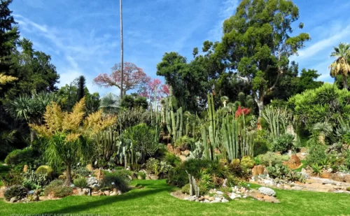 napoli - real orto botanico