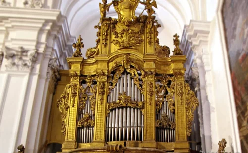 organo rococò chiesa dell'annunziata di capua - Provincia di Caserta