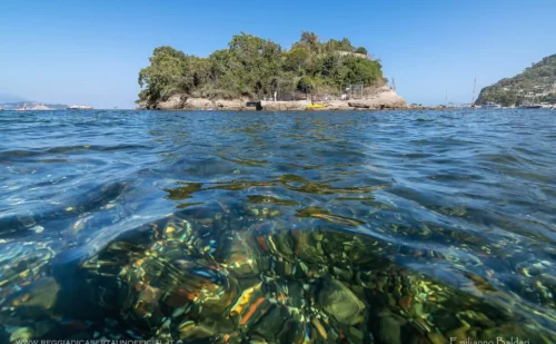 pozzuoli cosa vedere - Isola di Punta Pennata - 1