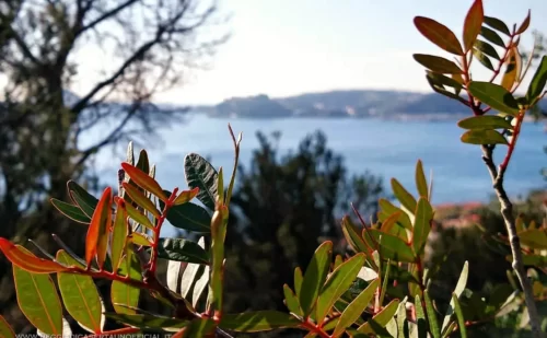 pozzuoli cosa vedere - Oasi di Montenuovo