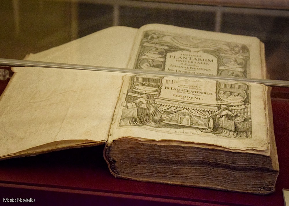 Reggia Caserta Biblioteca Libro Bauhin Historia Plantarum, Reggia di Caserta Unofficial