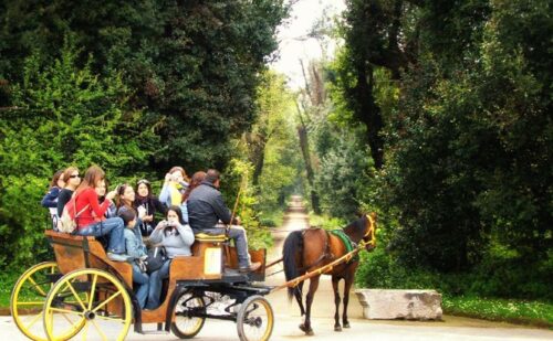 reggia-caserta-bosco-vecchio-carrozza