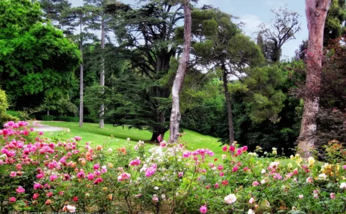 reggia-di-caserta-giardino-inglese-panorama-2