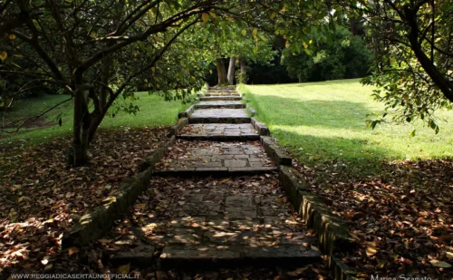 Reggia di Caserta giardino inglese sentiero