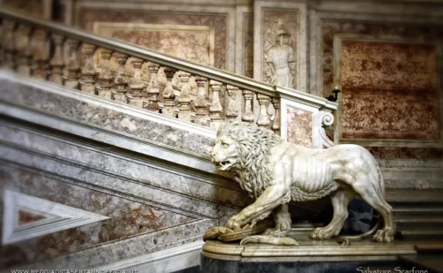 leone dello scalone della Reggia di Caserta - lion of the grand staircase of the palace of caserta -